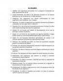 Glosario de términos