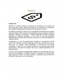 Conceptos mercadotecnia internacional