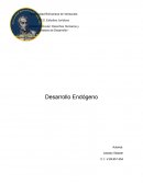 Desarrollo Endógeno. Valores en la producción artesanal de cerámica en Miraca