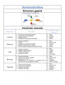 Aminoácidos, Estructura general