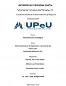 Informe ejecutivo de diagnóstico y propuesta de mejora para la empresa Reprind S.A.C