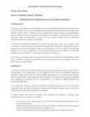 Importancia del transporte en las economías regionales