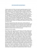Exploración Neurológica
