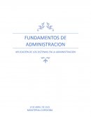Aplicación de los sistemas en la administración