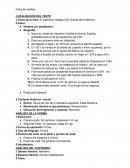 El Ingenioso Hidalgo. Don Quijote de la Mancha