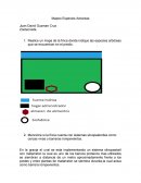 Mapeo Especies Arboreas