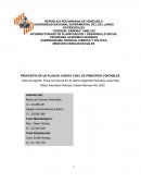 Propuesta de un plan de cuenta con los principios contables