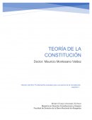 Opinión del libro fundamentos para una teoría de la Constitución