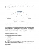 Procesos productivos agropecuarios y agroindustriales