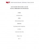 Informe psicológico forense