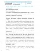 Proceso de Investigación Comercial. Diseño de la Investigación