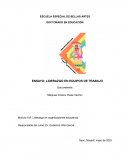 Liderazgo en equipos de trabajo