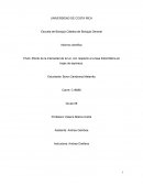 Efecto de la intensidad de la luz, con respecto a la tasa fotosintética en hojas de espinaca