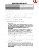 Derecho social en el Perú