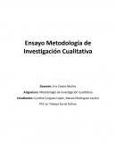 Metodología de Investigación Cualitativa