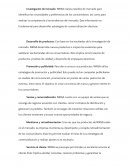 Investigación de mercado Nirsa