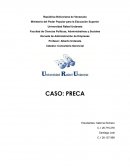 Análisis Caso PRECA