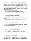 La importancia del uso de los kanjis en la sociedad japonesa arraigada a la interpretación del chino