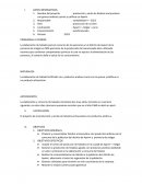 Producción y venta de helados enriquesidos con granos andinos quinua y cañihua en Ayavir