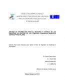 Sistema de información para el registro y control de los procesos de gestión de los Consejos Comunales municipio Antonio Pinto Salinas