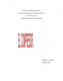 El compresor y sus partes