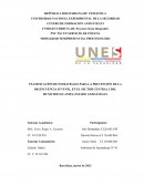 Planificación de estrategias para la prevención de la delincuencia juvenil, en el sector central I del municipio Guanipa, Estado Anzoátegui