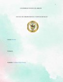 Diagnóstico del Presente Histórico