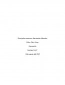 Principales trastornos funcionales laborales