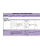 Programa escolar de mejora continua. Diagnóstico integral centrado en las NNA