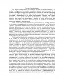 Normas Constitucionales