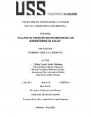 Flujos de atención de pacientes en los subsistemas de salud