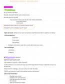 Antropologia y sociologia