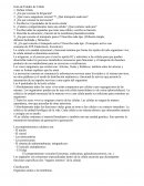 Guía de estudio de célula