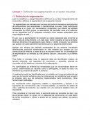 Definición de segmentación en el sector industrial