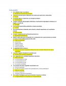 Las células delta en el páncreas