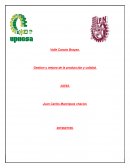 Gestion y mejora de la producción y calidad