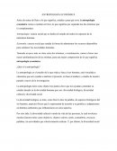 Antropologìa econòmica