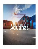Usuarios legitimados para actuar en las aduanas