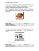 Determinación de la demanda