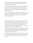 Origen de la auditoría