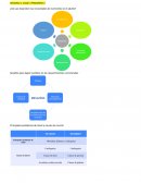 ¿De que dependen las necesidades de nutrientes en el adulto?