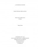 La filosofia de Nietzche