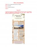 Vida y trascendencia