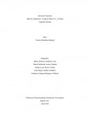 Gerencia Financiera. Taller de Aplicación - Empresa Plaza S.A. y Filiales