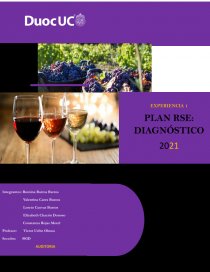 Informe RSE Viña San Pedro. Página 1