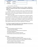 Caso práctico El balon