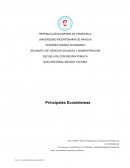 Principales ecosistemas