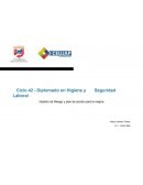 Gestión de Riesgo y plan de acción para la mejora