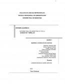 Informe final de marketing (IV ciclo) Queque de 7 semillas