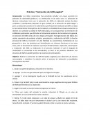 Práctica: “Extracción de ADN vegetal”